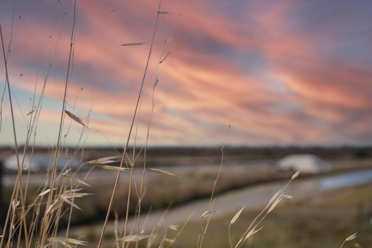 Le Parc Des Mimosas Villa Noirmoutier-en-l'Ile Dış mekan fotoğraf