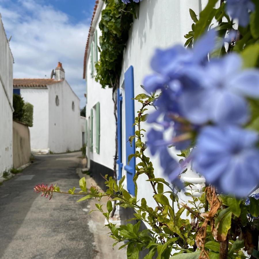 Le Parc Des Mimosas Villa Noirmoutier-en-l'Ile Dış mekan fotoğraf