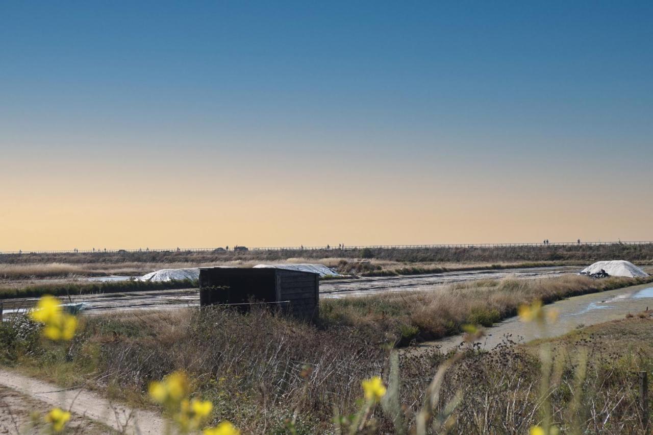 Le Parc Des Mimosas Villa Noirmoutier-en-l'Ile Dış mekan fotoğraf