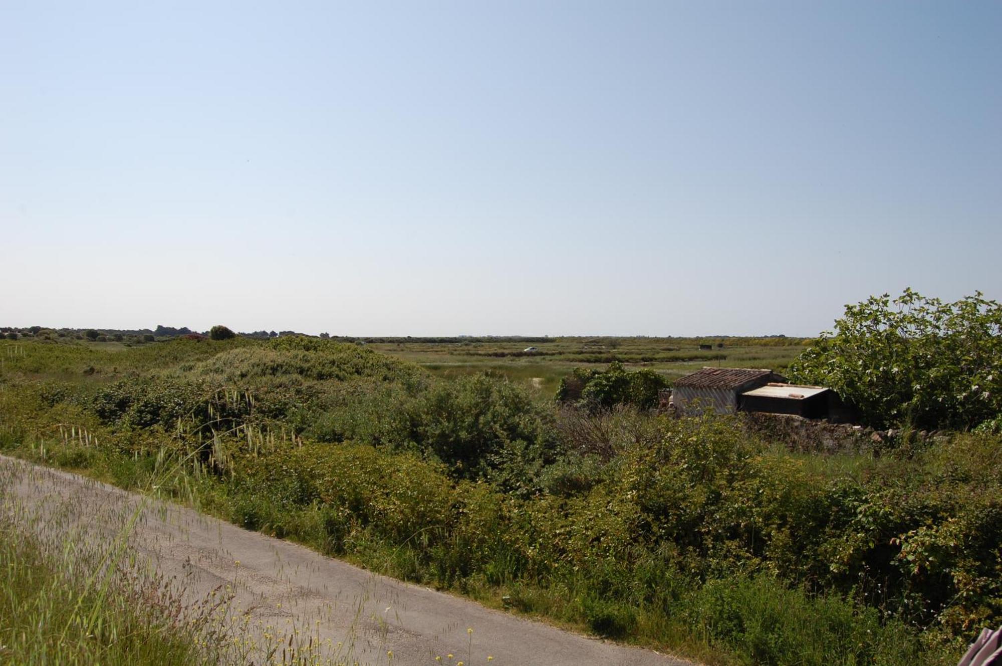 Le Parc Des Mimosas Villa Noirmoutier-en-l'Ile Dış mekan fotoğraf