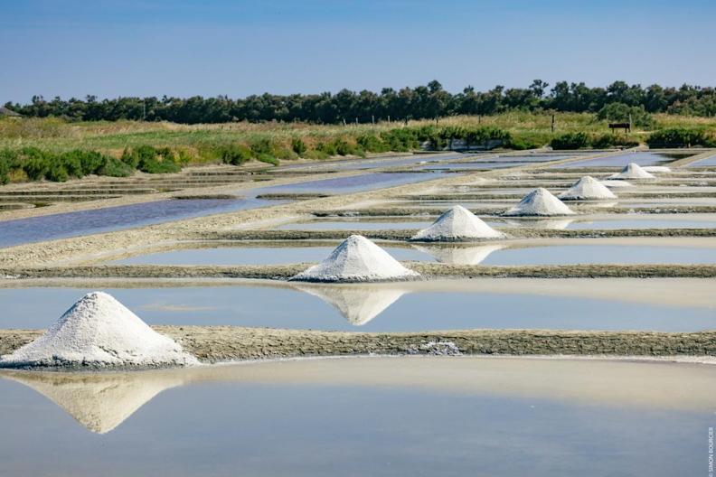 Le Parc Des Mimosas Villa Noirmoutier-en-l'Ile Dış mekan fotoğraf