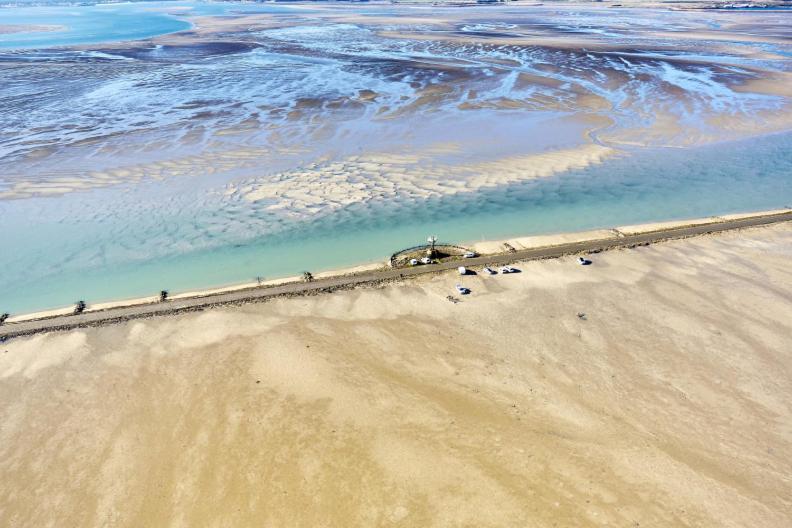 Le Parc Des Mimosas Villa Noirmoutier-en-l'Ile Dış mekan fotoğraf