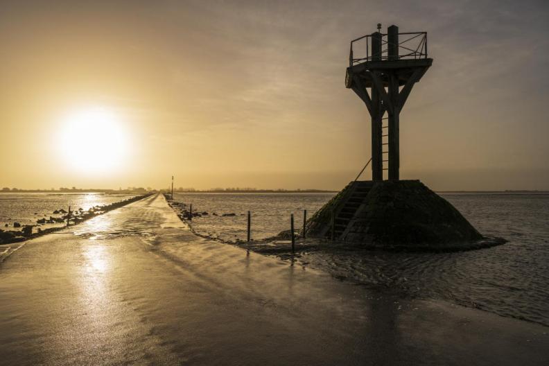 Le Parc Des Mimosas Villa Noirmoutier-en-l'Ile Dış mekan fotoğraf