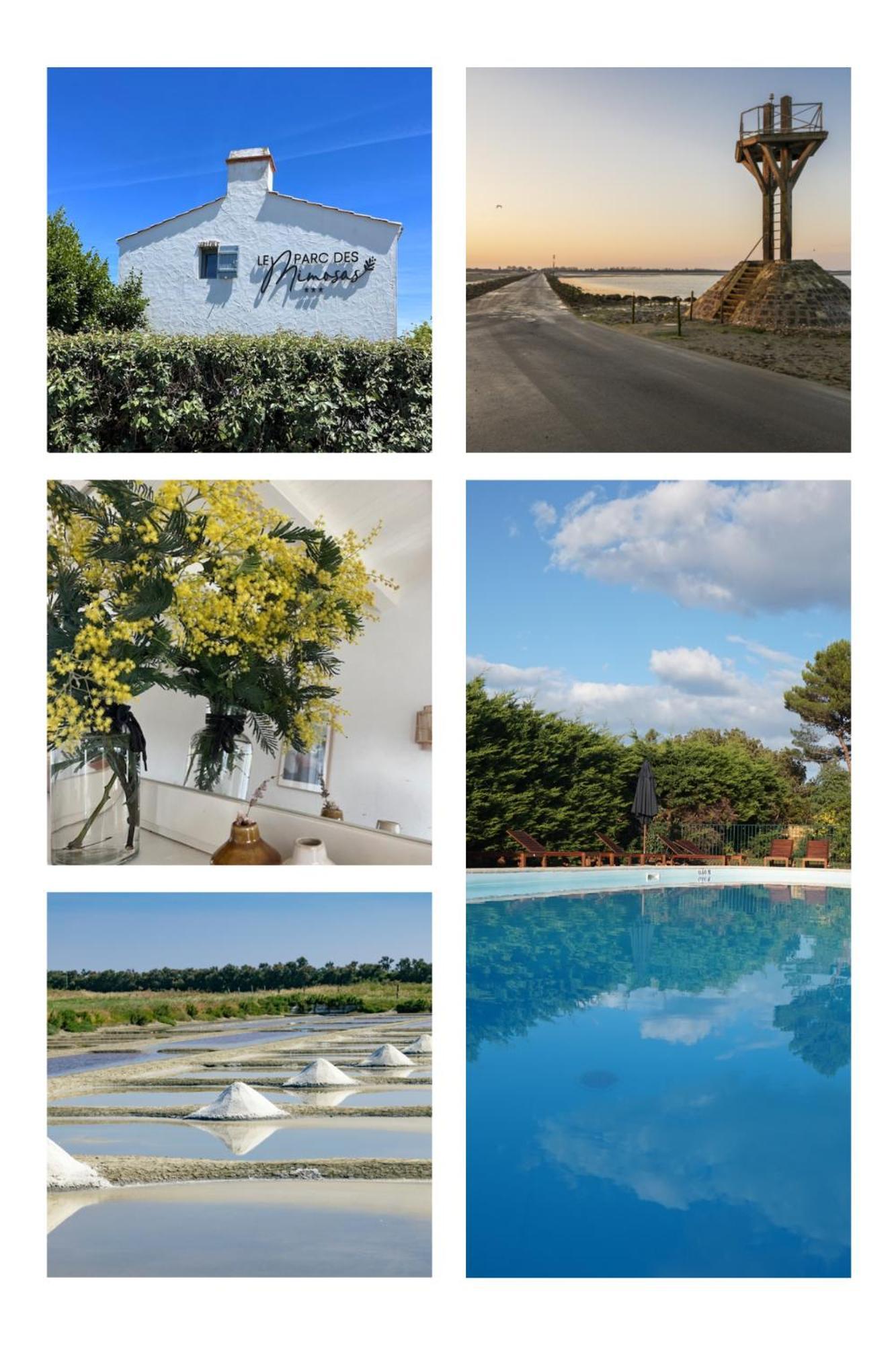 Le Parc Des Mimosas Villa Noirmoutier-en-l'Ile Dış mekan fotoğraf